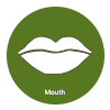 Mouth